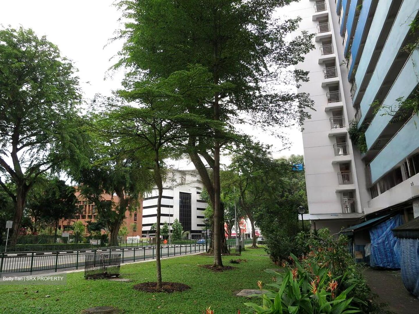 Bukit Ho Swee View (D3), Shop House #599586181